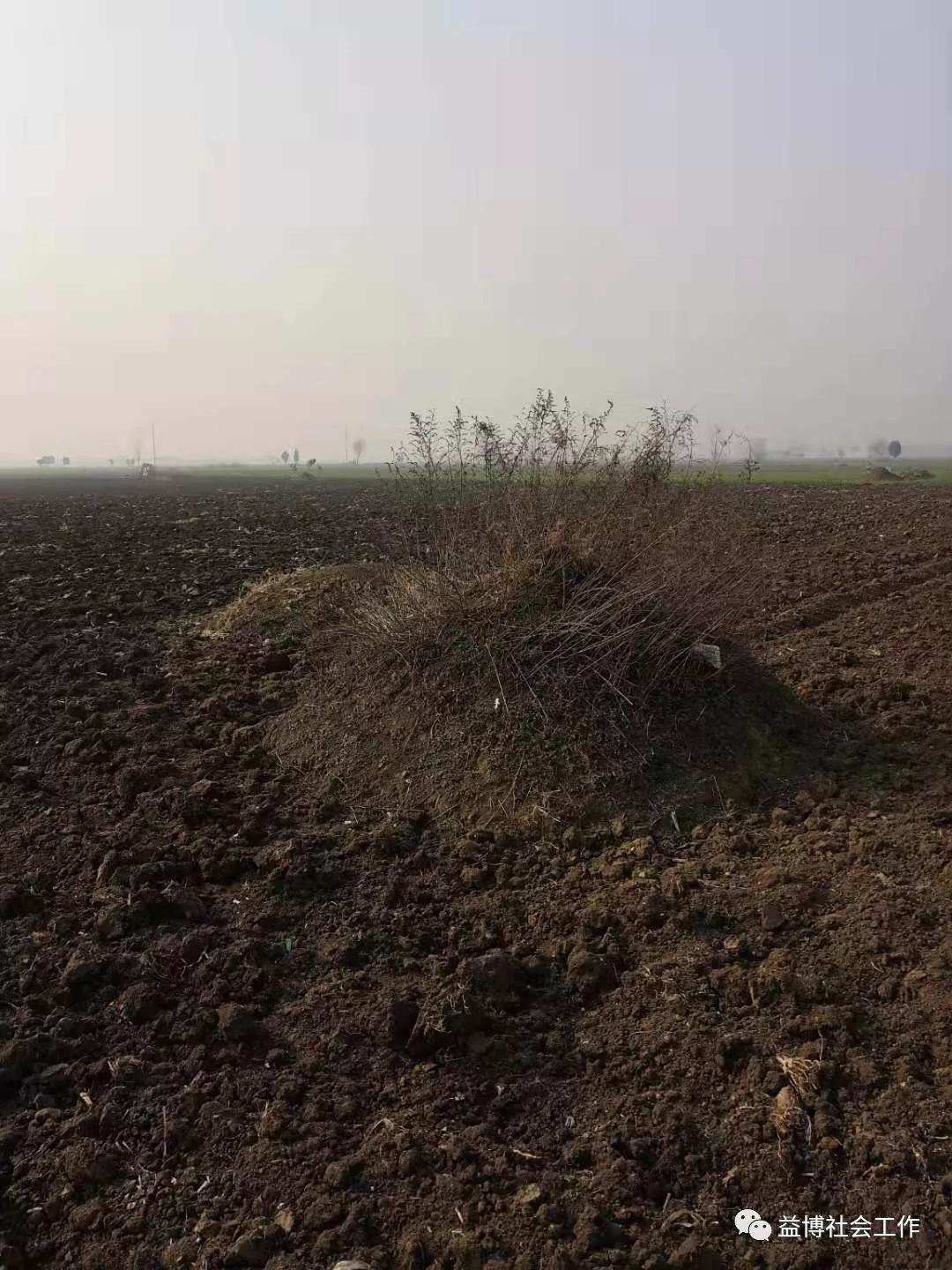 王玉日常生活视频,王玉的日常生活视频