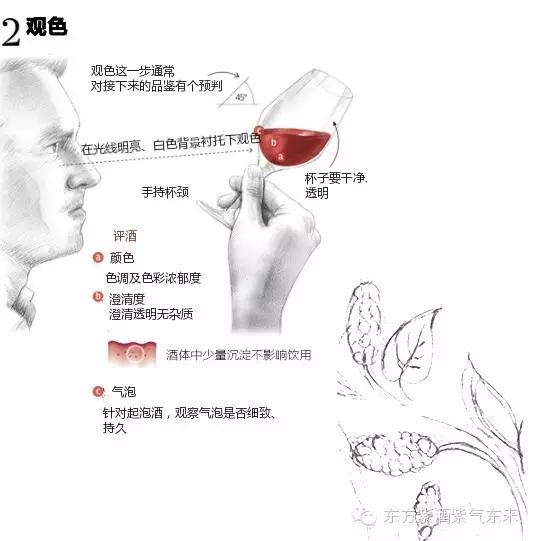 一杯紫酒，轻松周末，采摘品鉴邀您相约