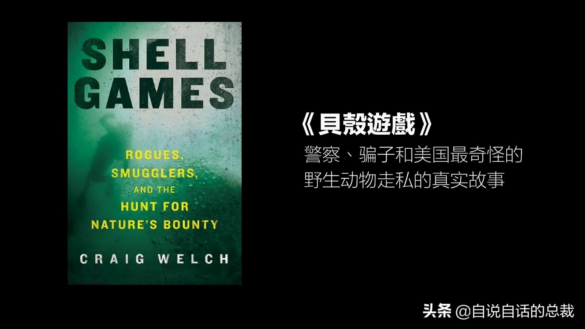 蛤、蚶、蛏、蚝、蚬有什么区别？这是一群美味海怪与人类的故事