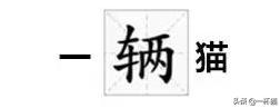 一根猫、一滩猫、一架猫，喵星人逆天姿势大全