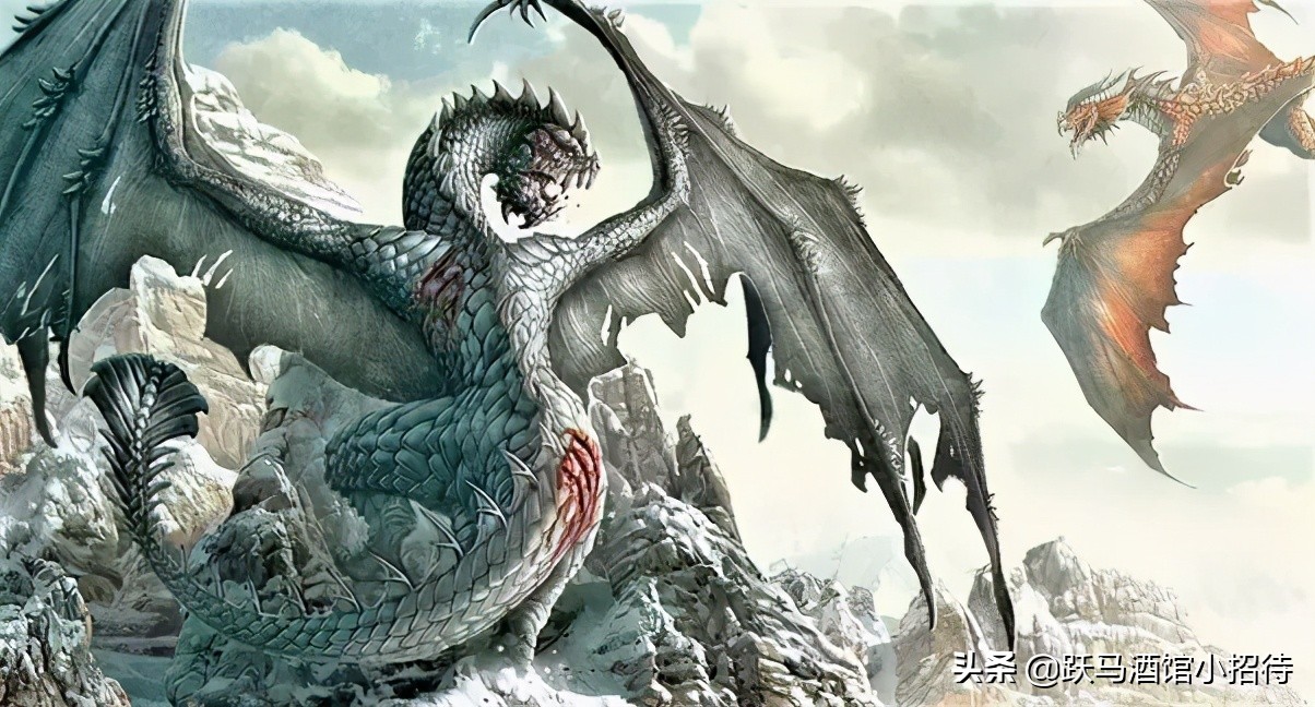 冰与火之歌坎尼会战,冰与火之歌各个家族的分布地