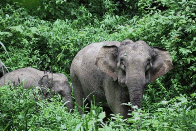 云南西双版纳幸福感,云南最有潜力的城市西双版纳