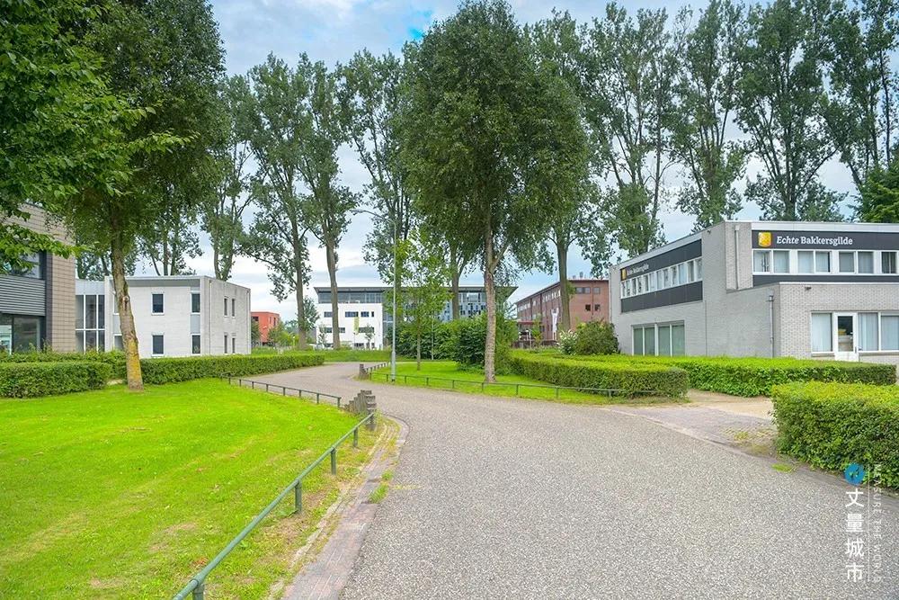 5.16国际牛奶日,每天一杯牛奶强壮中国人