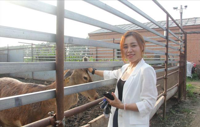 梅花鹿王娇,梅花鹿王娇简历