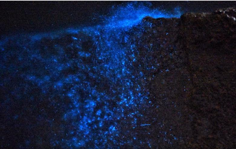 巴厘岛世界顶级海岛,离上海最近的绝美海岛枸杞岛