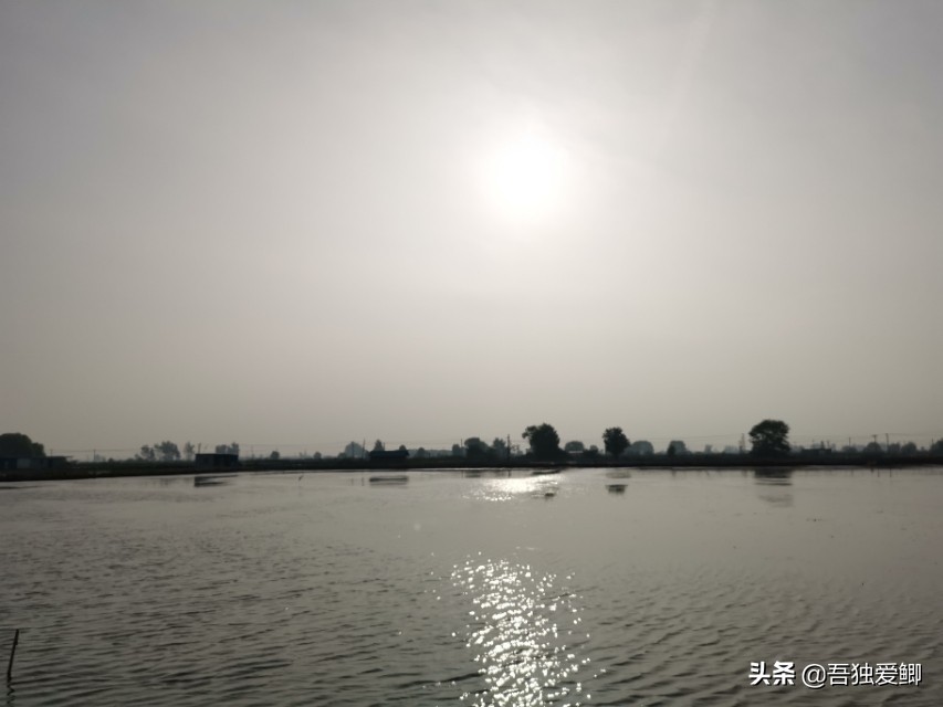 为什么大板鲫吃口很轻,大板鲫一般多少度吃口