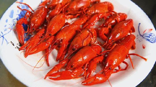 滚烫，火辣，江湖气！当武汉的馆子来到徐州，这座城的灵魂也来了