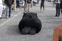 网剧重生大忌复盘,重生电视剧剧情漏洞