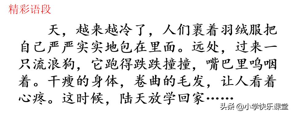 小学部编版六年级语文习作,六年级习作笔尖流出故事范文600字