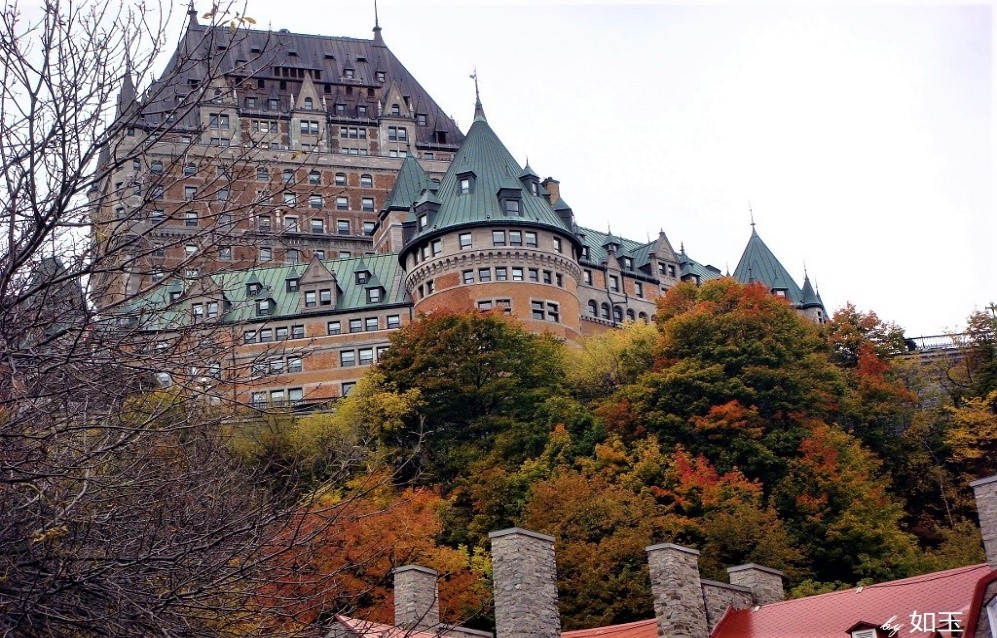 秋季到加东来看枫