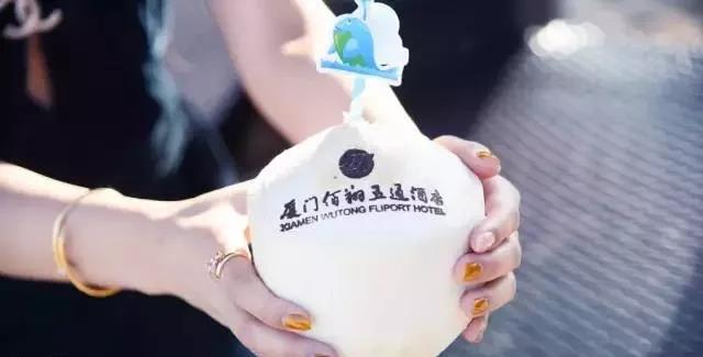 春节厦门自由行5日游攻略,春节厦门自由行攻略亲子省钱