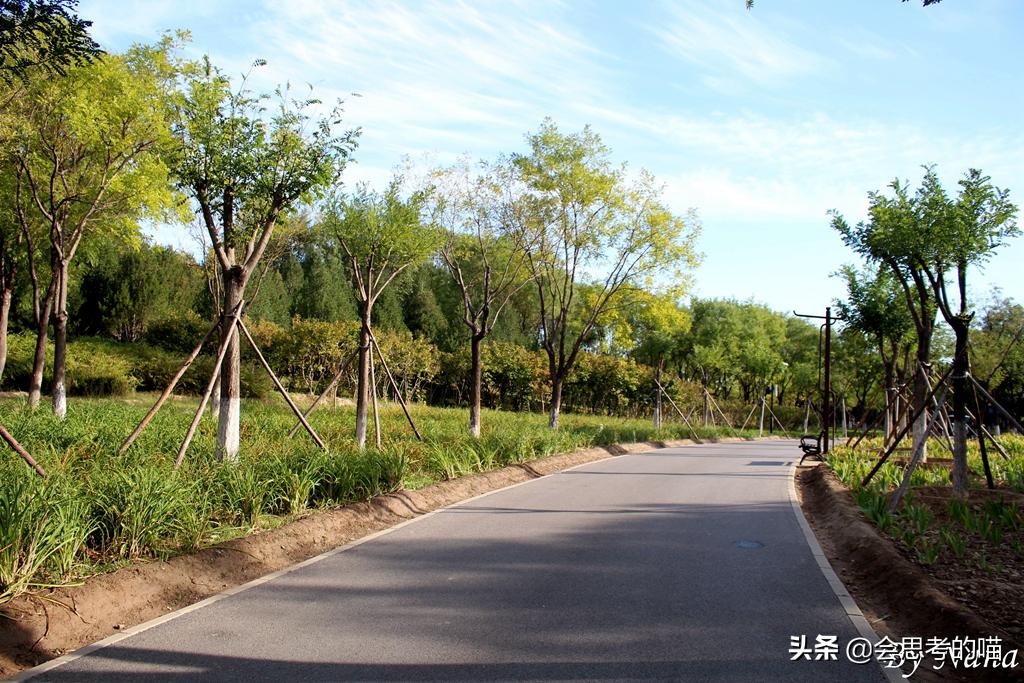 大兴南海子公园还开放吗,南海子公园现在开门了吗