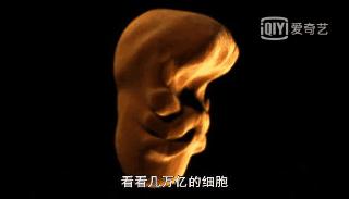 人体的奥秘你知道多少,人体的奥秘不简单