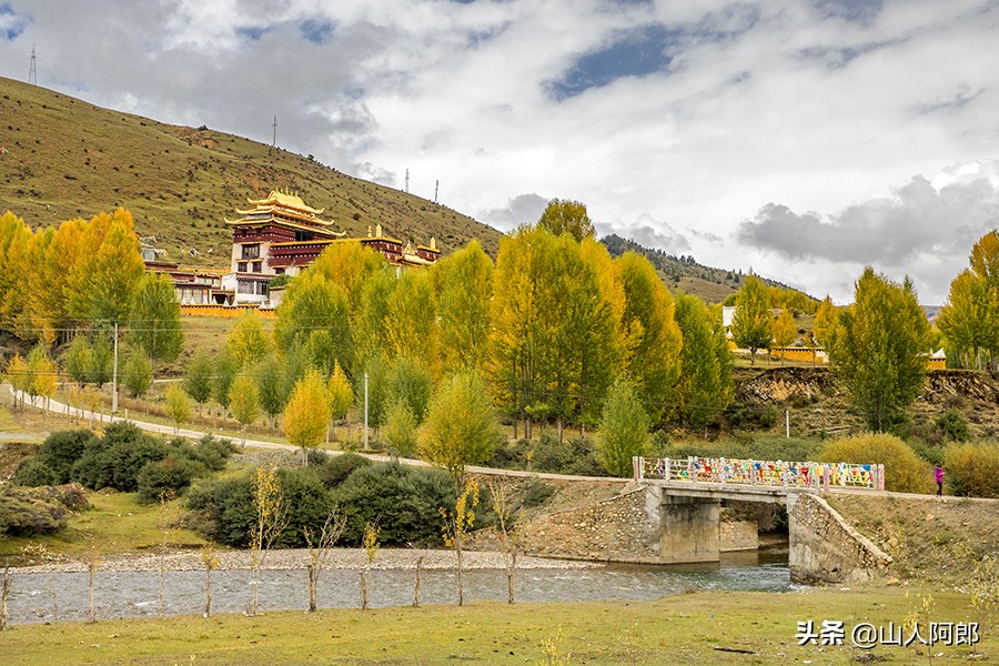 宸濊タ楂樺師澶ц崏鍘熺殑璺笂鐓х墖,闈掕棌楂樺師涓婄殑鑽夊師闆北椋庢櫙