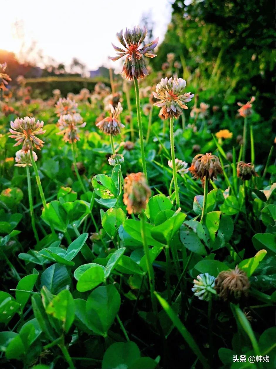 出游不必远行,出游不再烦恼
