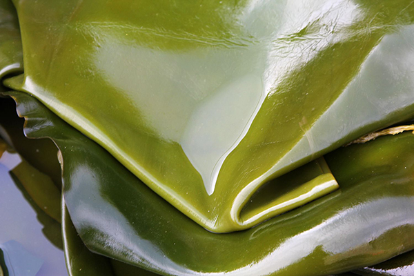 饭后胀气属于哪种胃病,稍微吃多点胃就不舒服是什么情况