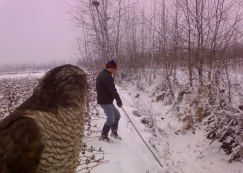 兔子冬季怕冻吗,为什么兔子怕下雨