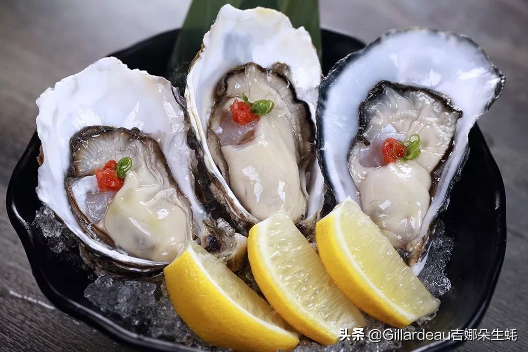 吉娜朵松子料理:在全面营业的日料店里,蚝自由地吃起来
