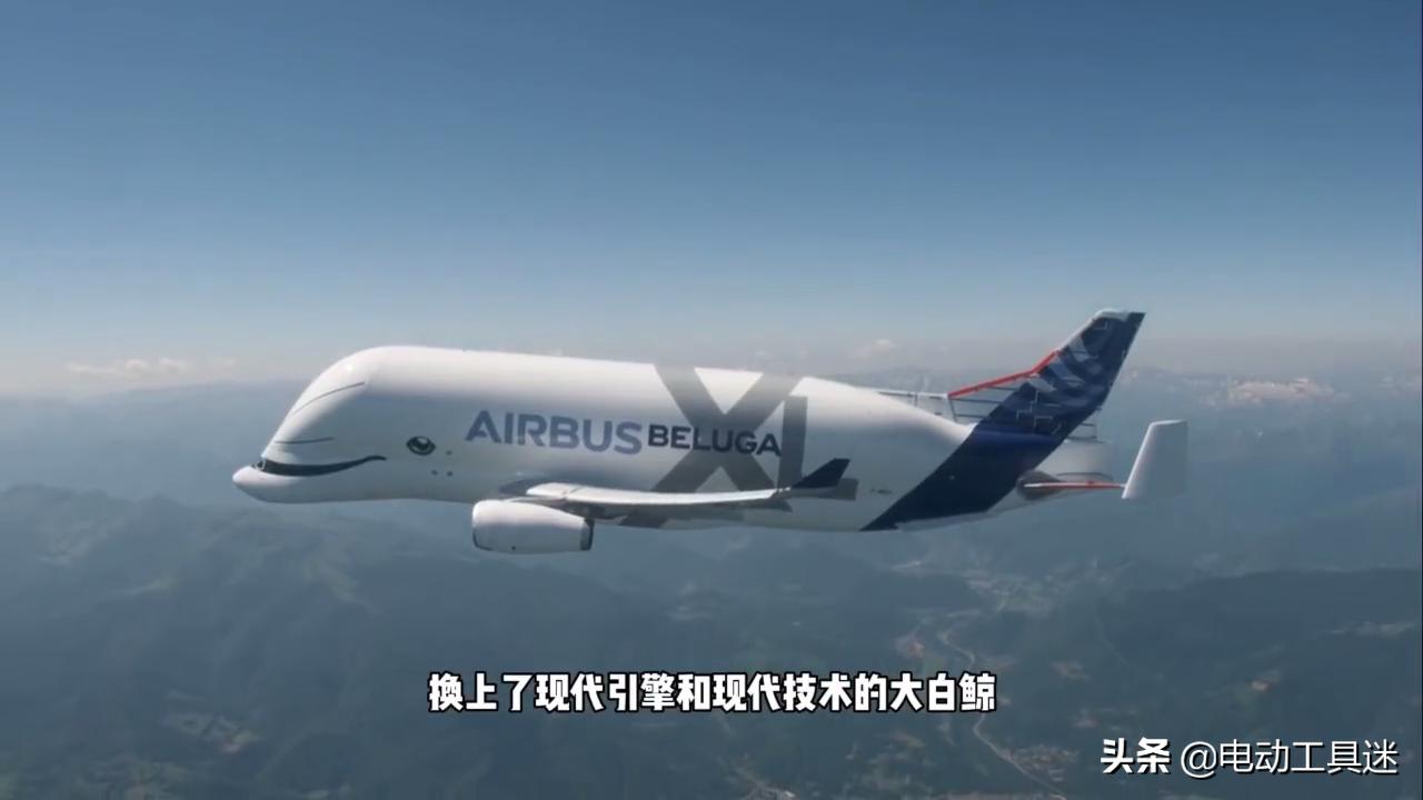 刷新你的知识体系，西瓜视频解析：史上最奇葩的飞机超级古比鱼