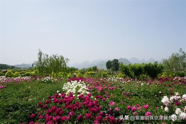 易县自驾游免费山水特色民宿,五一去哪玩都不如在家陪父母