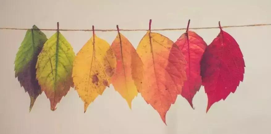 颜色英语单词组成,颜色英语单词读音