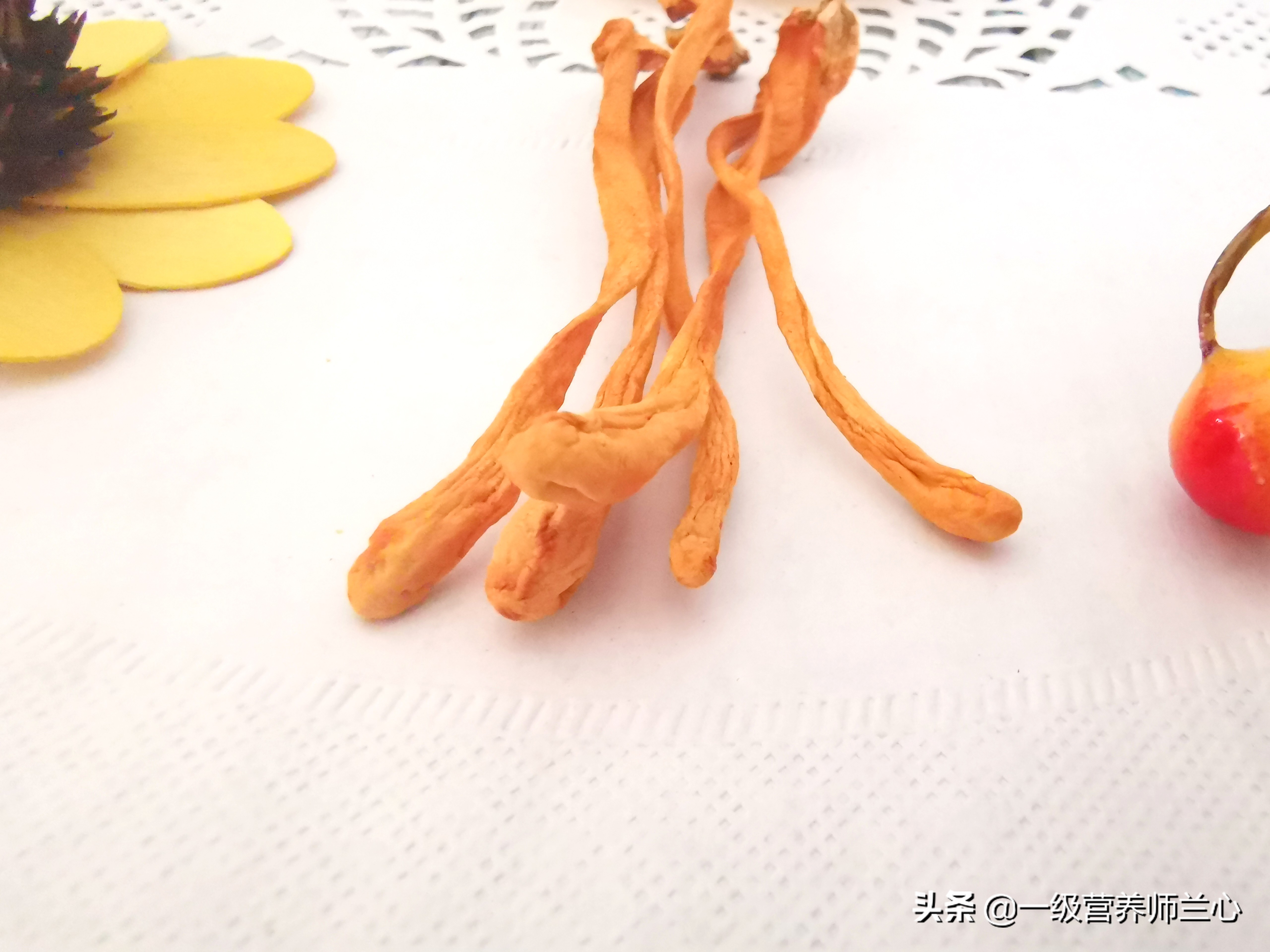 炖鸡汤鲜虫草花好还是干虫草花好,冬虫夏草和虫草花一起炖汤可以吗