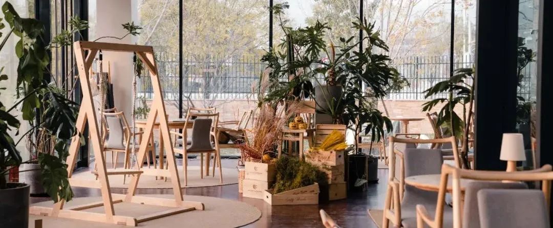 京城首家！探秘最热门“一尺花园”咖啡馆，西山脚*体下**会海派腔调