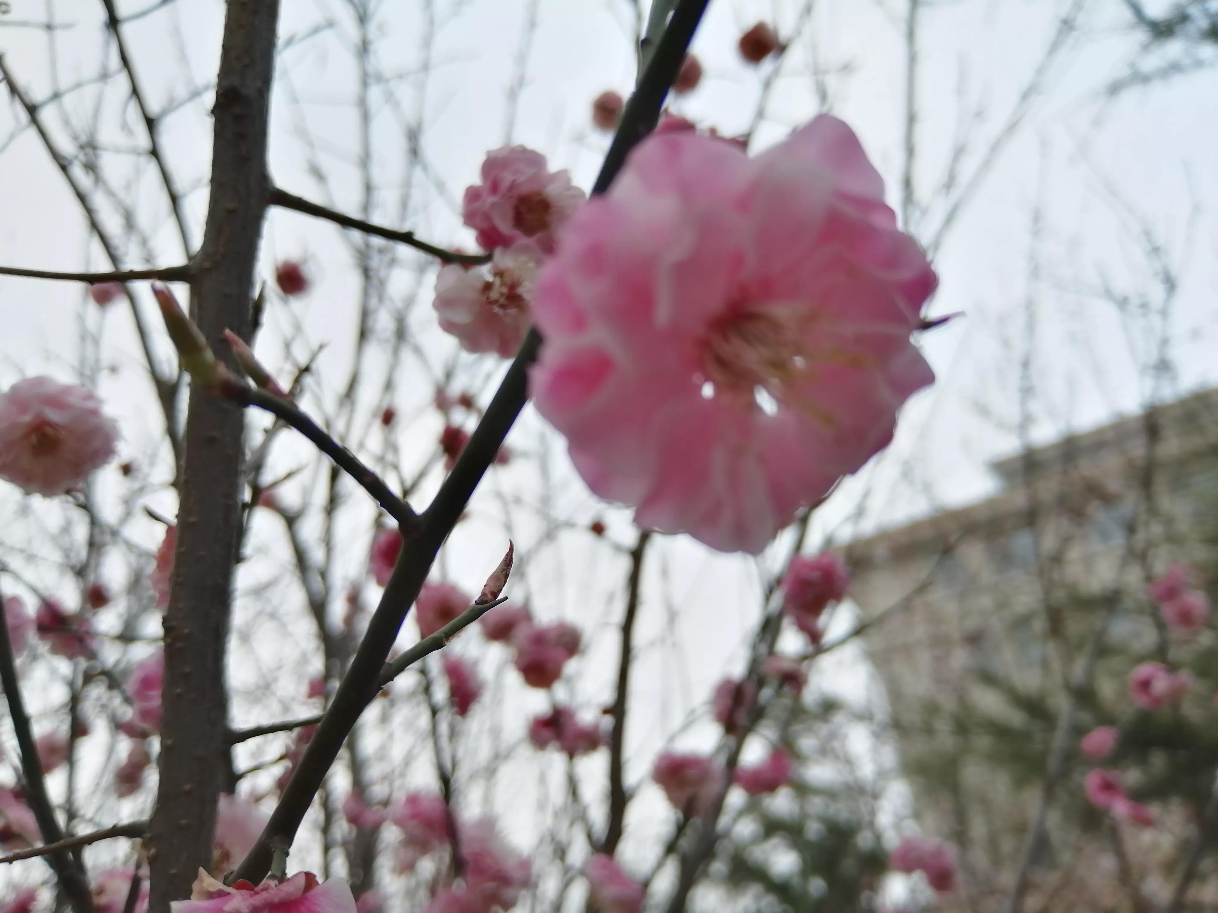 答题卡没涂考号要紧吗,月考没填答题卡