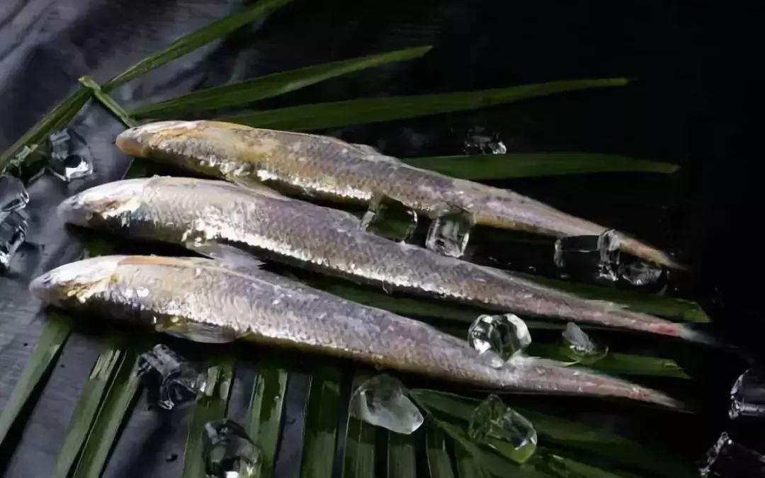 防城港怎么吃海鲜便宜不被坑,防城港干货海鲜有哪些