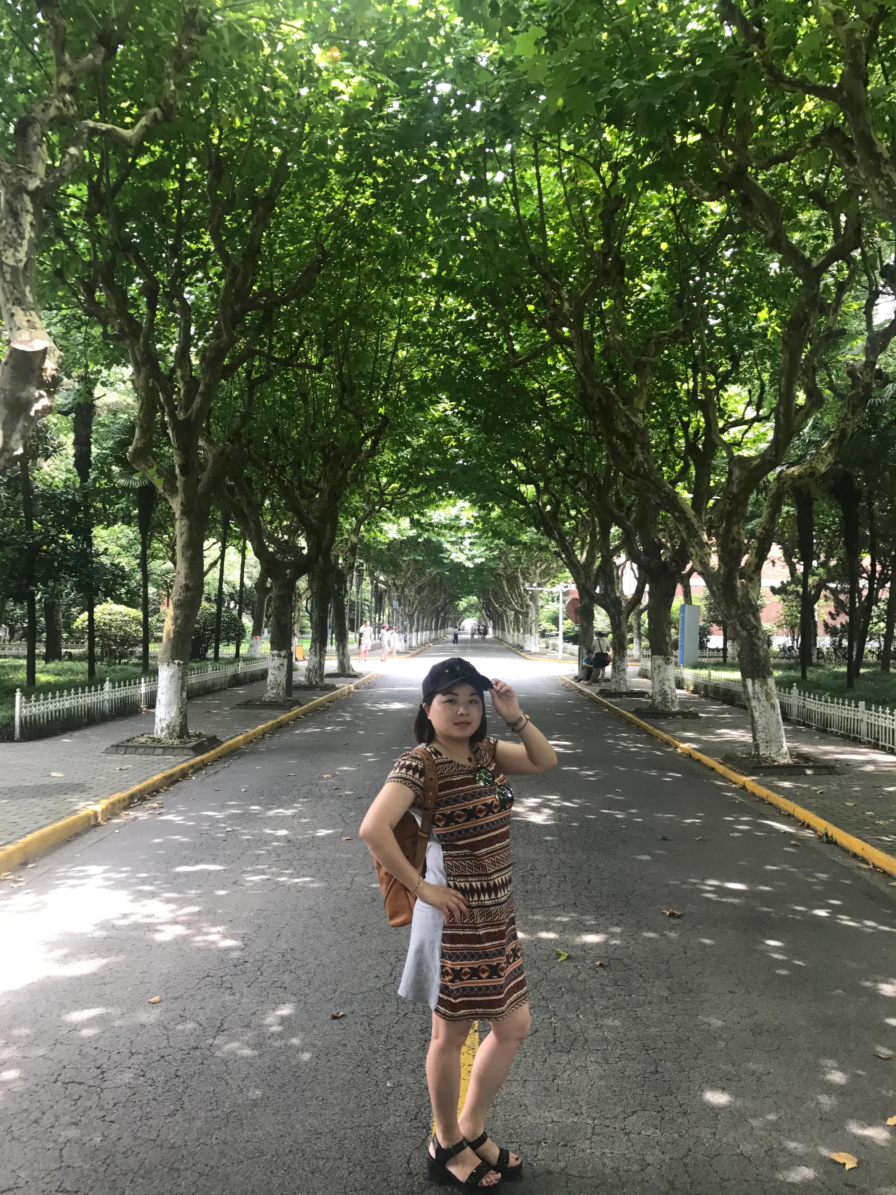 上海迪士尼锦江之星,上海迪士尼乐园冰河世纪