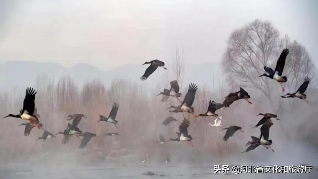 中山古城遗址旅游,中山古国遗址游玩