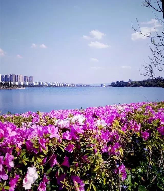 云南昆明小西湖,距离昆明3个小时车程的绝世仙境