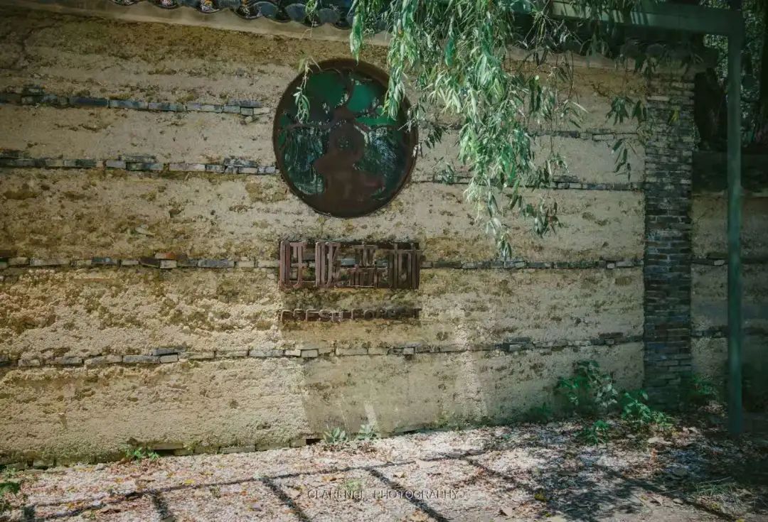 苏州小众却很棒的地方,五一来苏州必去的打卡地