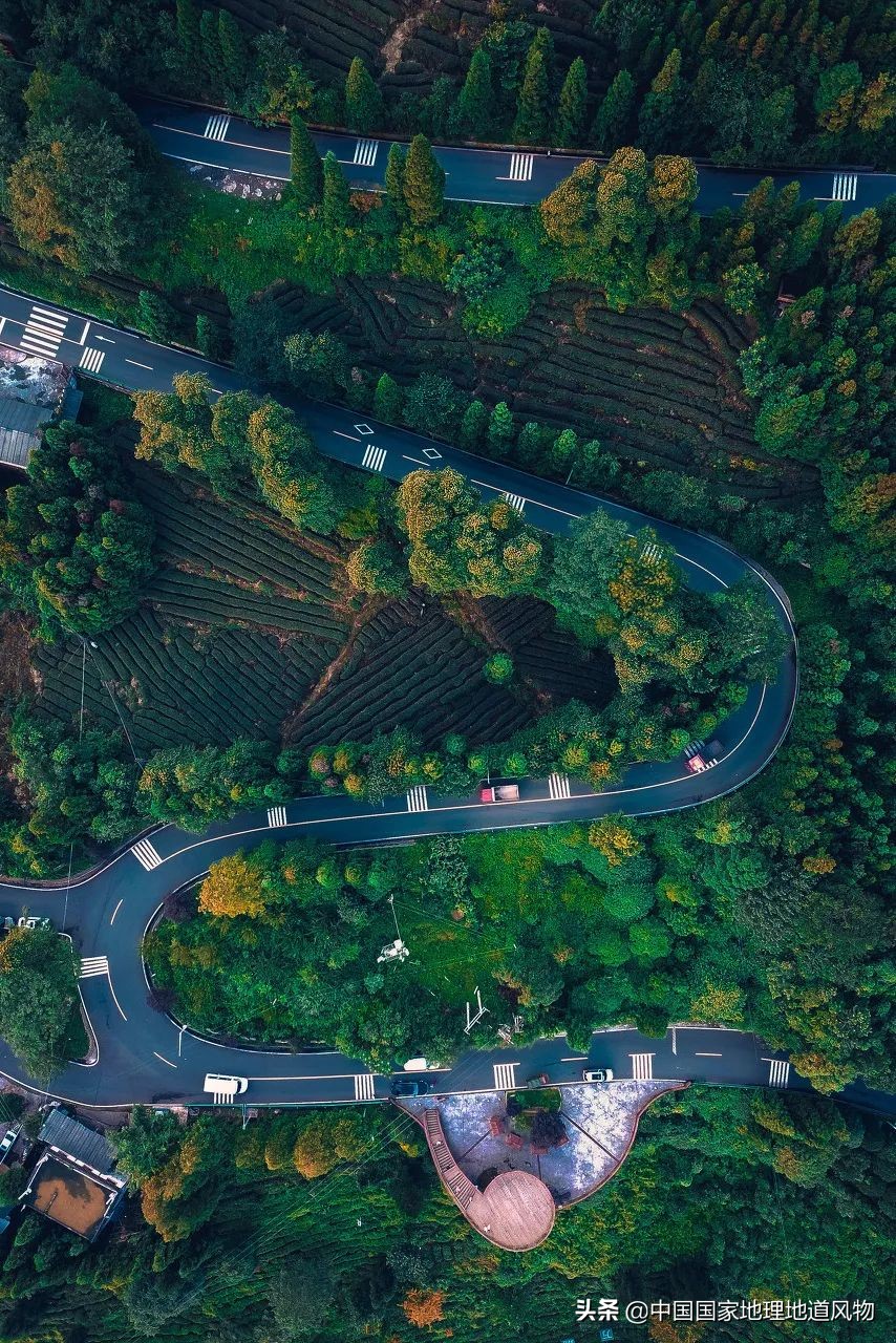 中国茶叶分布图,中国茶区详细分布图