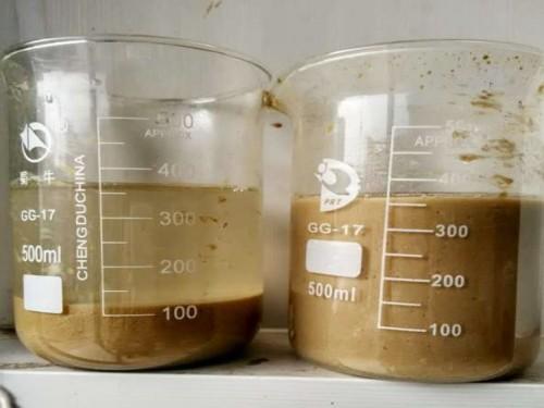 知识分享实测,知识分享模板