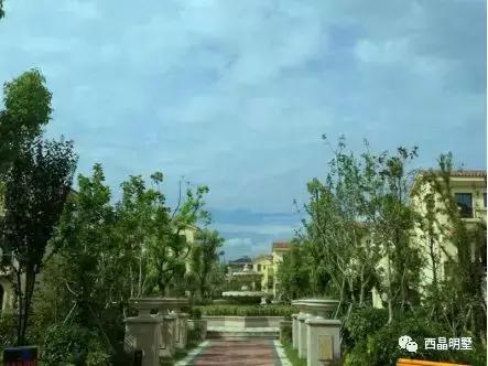 青浦江南里别墅,青浦水乡客厅