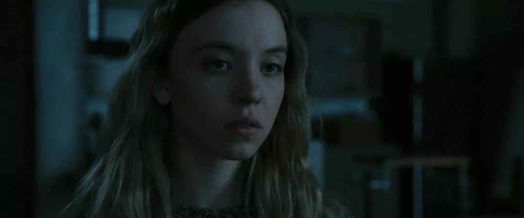 冷门惊悚片合集,冷门惊悚片免费