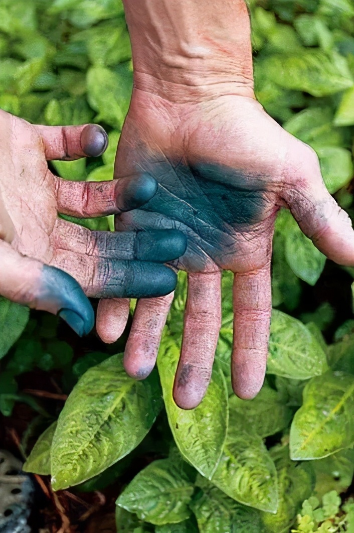 天然染色剂衣服,天然蓝染系列介绍