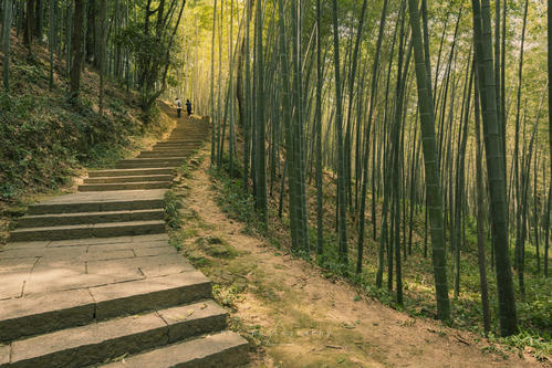 杭州免费的旅游景点攻略,杭州旅游攻略必去免费景点大全