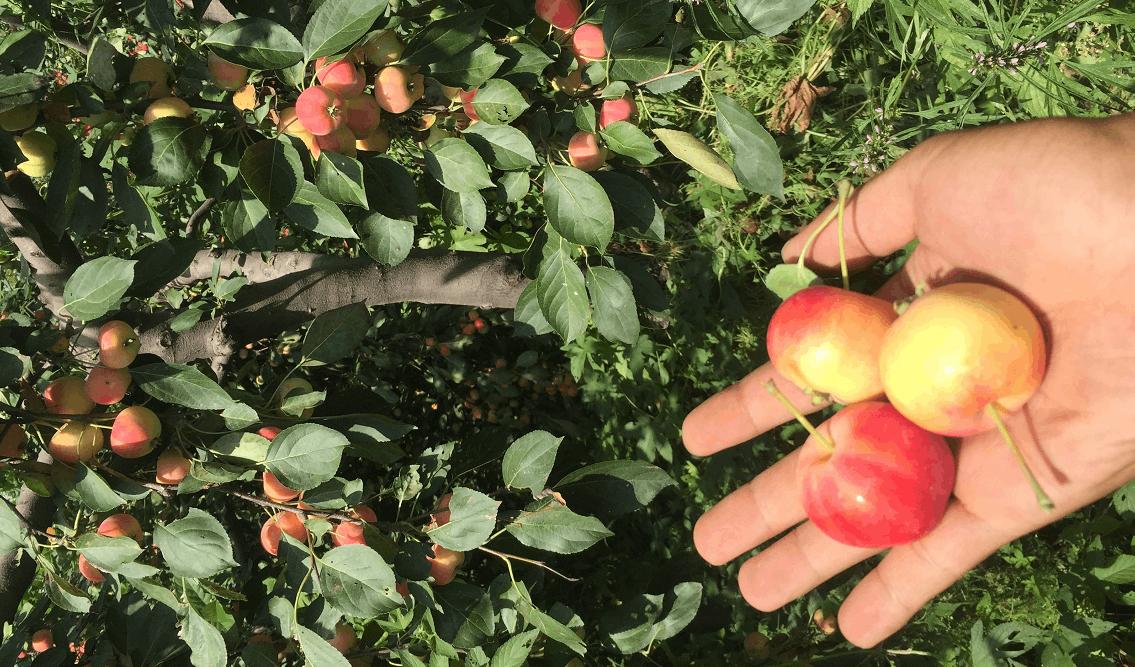 助力乡村振兴奔小康,走进田间地头助力脱贫攻坚