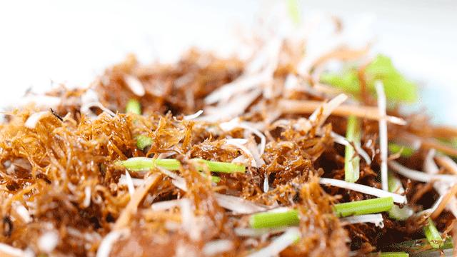 塔下江景酒家全景图,广州塔附近早茶看江景