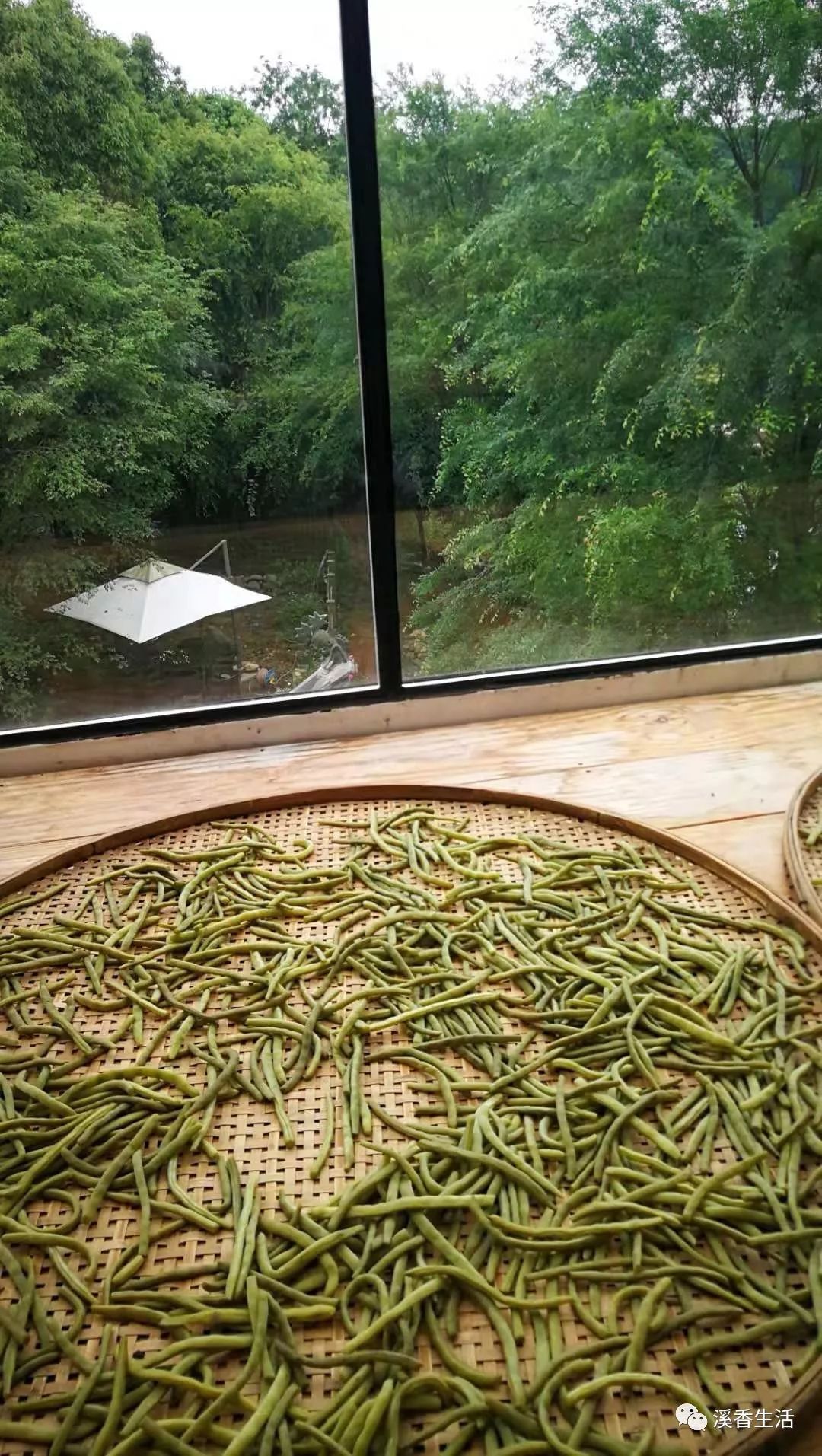 西溪南古村落惬意慢生活,徽州西溪南生活