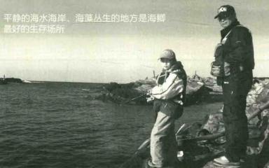 「日本专业矶钓书籍」海鲫富有营养，入门矶钓对象鱼