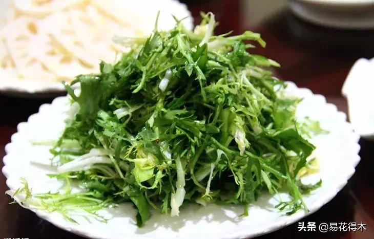 小满至，苦菜长，农家野菜名天香