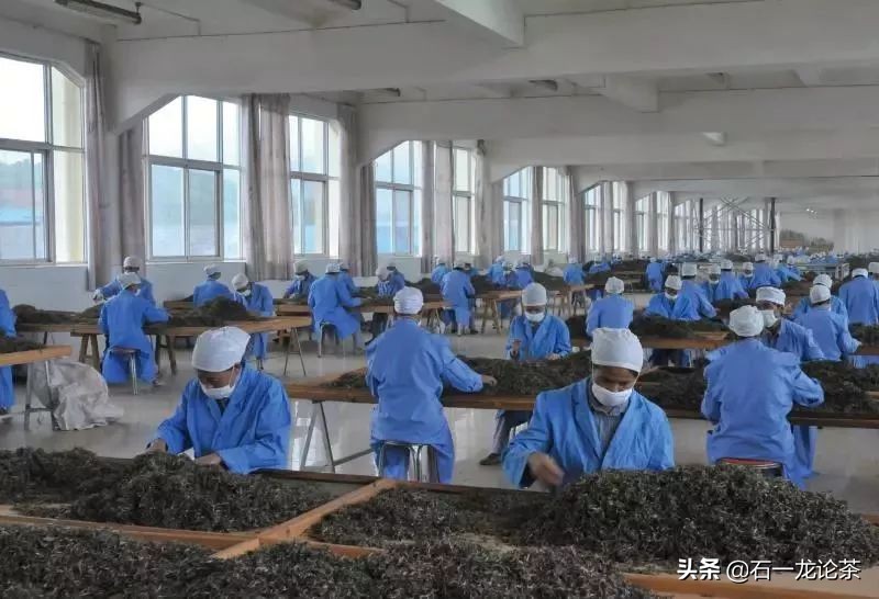 勐库戎氏邦界普洱茶,勐库戎氏问鼎冰岛龙珠