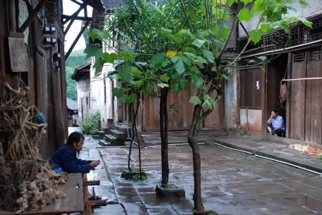 四川最值得去冷门的旅游景点,四川冷门小众又好玩的地方排名