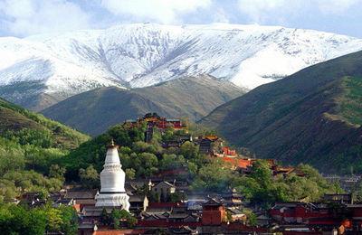 佛教四大名山普陀,佛教四大名山之一菩萨道场