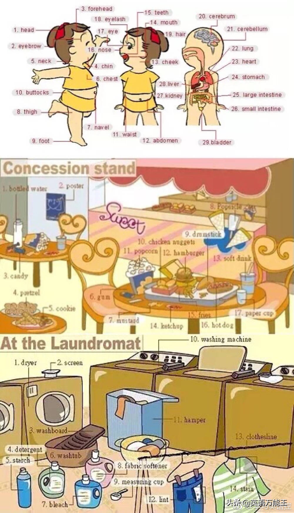 超实用各类物件英语词汇表达,英语单词九宫格模板