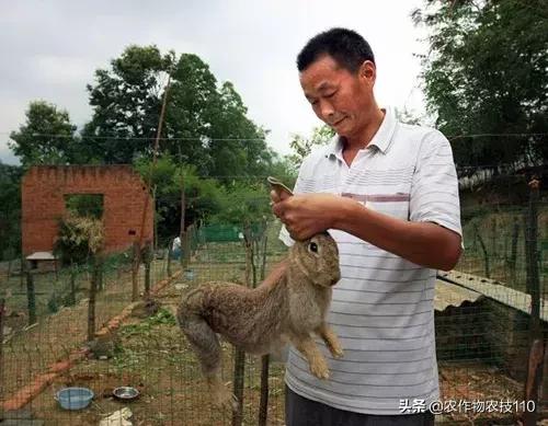 利润很吓人的100个冷门创业项目,农村创业100个项目赚钱