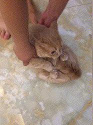 贾玲在沙发上翘二郎腿搞笑图片,贾玲跷二郎腿动图下载